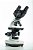 Microscópio Biológico Binocular N101-B LED - Imagem 1