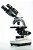 Microscópio Biológico Binocular N101-B LED - Imagem 2