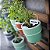 Kit 3 Plaquinhas Identificadoras para Vasos com Adesivos – Horta e Plantas - Imagem 6