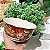 Bowl de Cerâmica Gabriele 14,5cm - Imagem 4