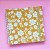Quadratta - Amarelo Flores - Imagem 1