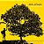 LP Vinil Jack Johnson In Between Dreams (Gatefold) - Imagem 1