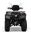 Quadriciclo Fox 350 MFX 4x4 - Imagem 4