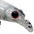 Isca artificial Marine Sports Samma Minnow 70 Cor 22H - Imagem 3