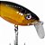 Isca Super Iscas Amazonas 13,5gr 9cm Cor 803 Shad Floating 3x Ratling Meia Agua - Imagem 3