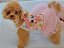 Vestido Fashionista Doll - Imagem 2