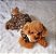 Vestido Animal Print/Babados (dudog) - Imagem 2