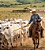 BASTÃO PICANA (FERRÃO ELETRICO) DE MANEJO CHOQ 12000 V GADO BOVINO - Imagem 1