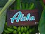 Placa Aloha - Imagem 2