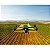 DRONE PARROT PROFESSIONAL BLUE GRASS - Imagem 1