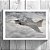 Quadro - GRIPEN FORÇA AÉREA BRASILEIRA (20cm x 30cm) - Imagem 2
