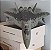 SU-57 FELON - 1:72 (27CM)  Fácil Montagem - NÃO precisa pintar/colar - Imagem 6