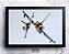 Quadro - EUROFIGHTER TYPHOON (20cm x 30cm) - Imagem 1