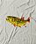 Camiseta Brk Fishing Peixe Dourado com Algodão Egípcio - Imagem 4