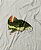 Camiseta Brk Fishing Peixe Pirarara com Algodão Egípcio - Imagem 4