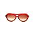 Óculos de Sol Gustavo Eyewear G113 9. Cor: Vermelho e marrom fosco translúcido. Haste animal print. Lentes marrom. - Imagem 1