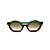 Óculos de Sol Gustavo Eyewear G134 1. Cor: Verde e marrom translúcido. Haste verde. Lentes marrom. - Imagem 1