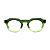 Óculos de Grau Gustavo Eyewear G66 3 Verde e fumê. Novidades. Modelo unisex. - Imagem 1
