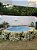 Casamento No Campo - Imagem 8