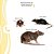 3 Sachês Ratol 50g Mata Ratazanas, Rato de telhado e Camundongos - Imagem 7