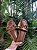 Chinelo Fivela Bronze - Imagem 3