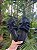 Chinelo H Cristal Preto - Imagem 3