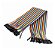 Jumpers - Femea/Femea - 40 Unidades de 20cm - Imagem 2