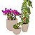 Kit 3 Vaso Decoração Planta Polietileno Variados Jardim CD50 - Imagem 2