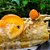 Rocambole de Laranja com Calda - Imagem 2