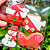 Biscoito Mel Natal DM - Imagem 1