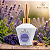 Aromatizador Lavanda - Imagem 2