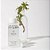 Dr. Barbara Sturm Hyaluronic Serum - Imagem 2