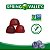 Spring Valley Non GMO Melatonin Vegetarian Gummies, Blueberry, 10 mg - Imagem 3