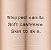 Victoria’s Secret Body Mist Bare Vanilla - Imagem 2
