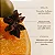 Vegamour  HYDR-8 Weightless Repair Hair Oil - Imagem 14