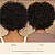 Vegamour HYDR-8 Hydrate and Repair Shampoo for Dry, Damaged Hair - Imagem 3