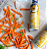 Kernel Season's Brand Movie Theater Butter Popcorn Topping Spritzer - Imagem 2