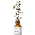 The Ordinary Caffeine 5% + ECGC Depuffing Eye Serum - Imagem 2