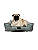 Caminha Pet Cachorro & Gato- Impermeável- Acquablock- G - Verde Chevron - Imagem 1