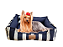 Caminha de Cachorro- Impermeável- Acquablock- M- Azul - Imagem 1