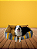 Caminha de Cachorro- Impermeável- Acquablock- XG- Amarelo - Imagem 1