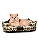 Caminha Pet Cachorro & Gato- Impermeável- Acquablock- P- Marrom Mármore - Imagem 2