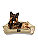 Cama Pet Cachorro & Gato- 100% Algodão- Brim- XG- Caqui - Imagem 2