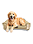 Cama Pet Cachorro & Gato- 100% Algodão- Brim- XG- Caqui - Imagem 1