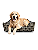Caminha Pet Cachorro & Gato- Impermeável- Linho- XG-  Cinza - Imagem 2