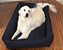 Caminha Pet Dupla 126 CM X 91 CM- Impermeável- Nylon- GG- Cinza - Imagem 2