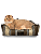 Caminha Pet Cachorro & Gato- Impermeável- Acquablock- P- Marrom Listrado - Imagem 3