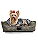 Caminha Pet Cachorro & Gato- Impermeável- Acquablock- M - Cinza Chevron - Imagem 1