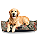 Cama Pet- XG- Impermeável- Malaga- Mosaico Verde - Imagem 1