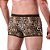CUECA SENSUAL ONCINHA - Imagem 2
